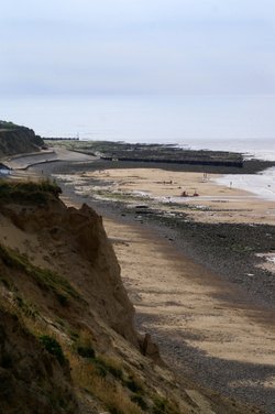 The beach from the cliffs