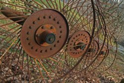 For making hay while the sun shines, Dolmelynllyn Falls, Dolgellau