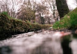 Leicester, Spinney Hills Park unusual viewpoint Wallpaper