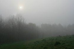 Foggy morning in Boley Park Wallpaper