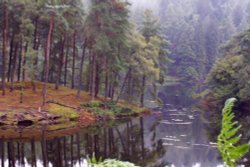 Tarn Hows - Scene of Swallows and Amazons Wallpaper