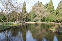 A picture of Thorp Perrow Wallpaper