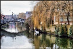 Fishing at Whitefriars Wallpaper