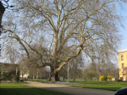 Magdalen College, Oxford 03
