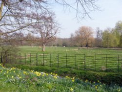 Magdalen College, Oxford 039 Wallpaper