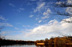 Dinton Pastures