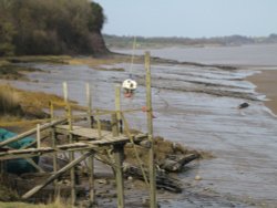 High and Dry Wallpaper