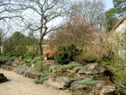 Oxford Botanical Gardens 70