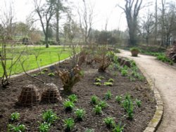 Oxford Botanical Gardens 72