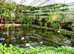 Oxford Botanical Gardens 83 Wallpaper