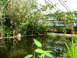 Oxford Botanical Gardens 84 Wallpaper