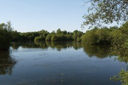 Ashenbury Park