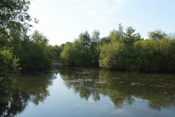 Ashenbury Park