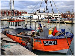 Sou' West Lady Wallpaper