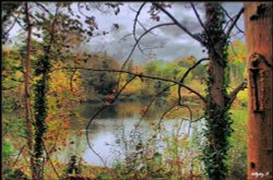 Lydiard Lake Wallpaper