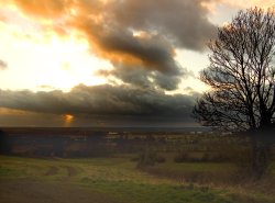 Ray of sun Wallpaper