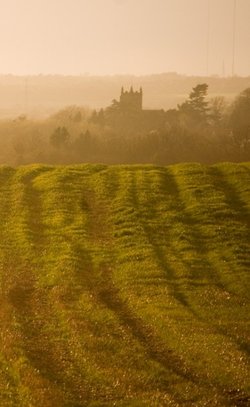 Field View