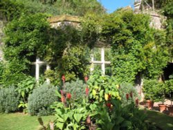 Conservatory Wallpaper