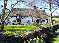 Pestilence Cottage, Woodhouse,Leicestershire