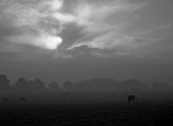 Somewhere in Eastleigh Wallpaper