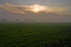 Somewhere in Eastleigh Wallpaper