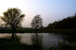 Somewhere in Eastleigh Wallpaper