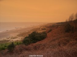 Corton Beach Wallpaper