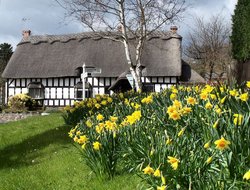 Thatched Cottage in Cropston, Leicestershire