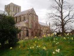 Winchester Cathedral Wallpaper