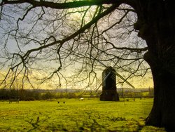 Wintry afternoon Wallpaper