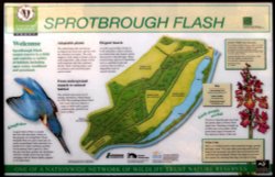 Sign and plan Wallpaper