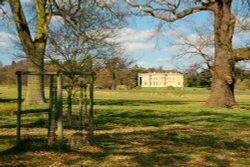 The garden.... Wallpaper