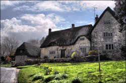 Front View Thatches Wallpaper