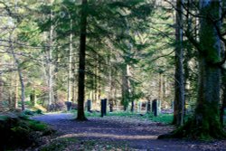 Wallington Hall. Wallpaper