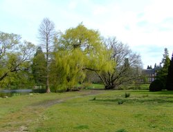 Pond and Halls of Residence Wallpaper