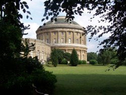 Ickworth House through the tree's Wallpaper
