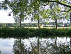 Chelmer and Blackwater Navigation, beside Ulting Church