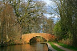 Trent and Mersey Canal through Hopwas Woods Wallpaper