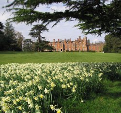 The south Lawn, Cobham Hall Wallpaper