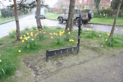 Iron Stocks and Whipping Post Wallpaper