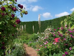 Flowers at Hyde Hall Wallpaper