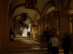 Guide talking with visitors Wallpaper