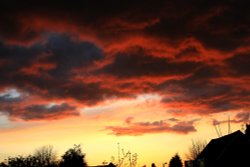 We had a beautiful sunset last night. Wallpaper