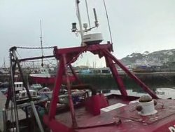 Brixham Harbour Wallpaper