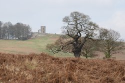 Bradgate Park Wallpaper