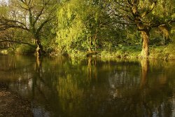 By the river Wallpaper