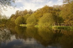 By the river Wallpaper