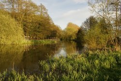 By the river Wallpaper