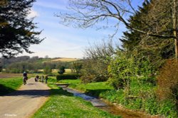 The River Cerne in Dorset