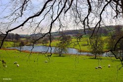 The River Cerne in Dorset Wallpaper
